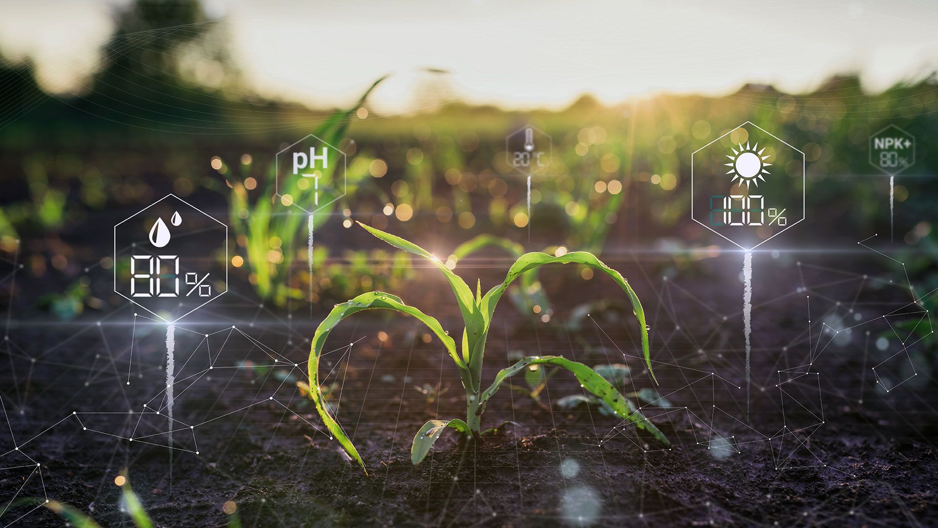 داشبورد سامانه